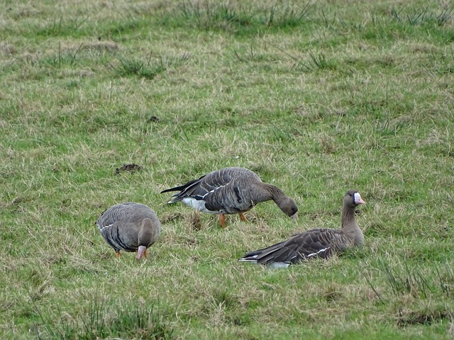 展的野心 展的野心